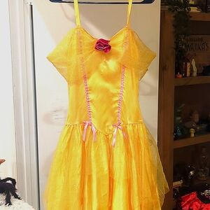 Ladies Belle Beauty and the Beast dress. Halloween costume